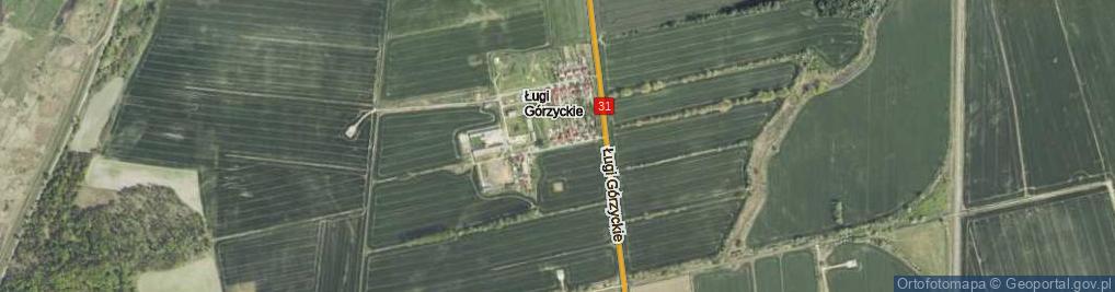 Zdjęcie satelitarne Ługi Górzyckie ul.